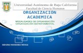 organizacion académica