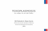 Toxoplasmosis seminario zoonosis Talca 2015
