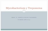 Mycobacterium y treponema