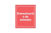 Domesticación de animales
