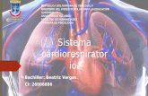 Sistema cardio respiratorio beatriz vargas