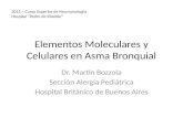 Elementos Moleculares y Celulares en Asma Bronquial