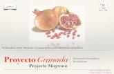 Proyecto Granada/Projecte Magrana
