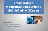Seminario problemas neuropsiquiaìtricos en el adulto mayor