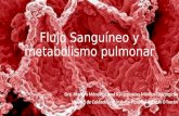 Flujo sanguíneo y metabolismo pulmonar