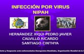INFECCION POR EL VIRUS NIPAH - ENFERMEDADES EMERGENTES OMS