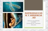 Tema 2 reproducción y herencia