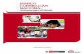 Marco curricular-nacional-med-2014