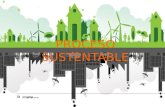 proceso sustentable
