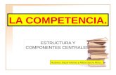 Las competencias estructura y componentes centrales.