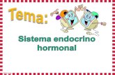 Sistema endocrino hormonal
