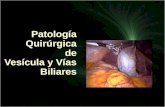 Patología quirúrgica de las vías biliares