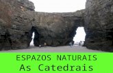 LIC e Monumento Natural As Catedrais