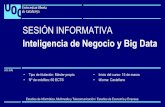 Presentación Programas Inteligencia de Negocio y Big Data