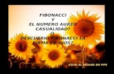 Secuencia Fibonacci y su relación con la Naturaleza 1