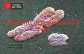 Síndrome del cromosoma x frágil