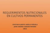 Requerimientos nutricionales en cultivos permanentes