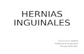 Hernias inguinales 2015