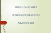 DEFORESTACIÓN EN MÉXICO