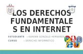 LOS DERECHOS FUNDAMENTALES EN INTERNET