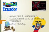 Animales que habitan en el ecuador en peligro de extinción y su marco constitucional ecuatoriano