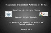 Deporte en México: Crisis del Futbol mexicano