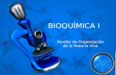 Bioquímica: Biomoléculas inorgánicas.