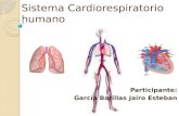 Sistema Cardiorespiratorio. Tarea 7