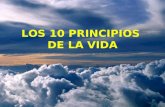 10 Principios De Vida