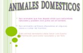 Animales domesticos lm