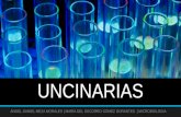 Uncinarias microbiología 2 D