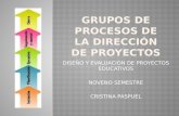 Grupos de procesos de la dirección de proyectos.Cristina Paspuel