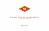Manual del usuario bizagi