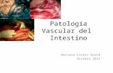 Patología vascular del intestino grueso