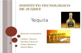 Tequilaa elaboración y proceso