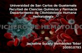 Fichero hematologia, Serie Roja