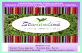 Plan de marketing para el lanzamiento de steviandina
