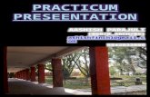 Architectural Practicum Presentation 2015/16