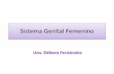 Sistema genital femenino - Histología