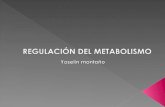 Regulación del metabolismo