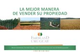 La mejor manera de vender su campo en uruguay