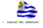 Presentación de 3° año Suelos del Uruguay