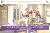 Unidad 1 : Organización y componentes moleculares