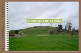 Castro de Elvi±a