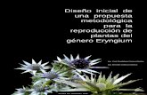Diseño inicial de una propuesta metodológica para la reproducción de plantas del género Eryngium