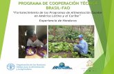 El proyecto Fortalecimiento de Programas de Alimentación Escolar en Honduras