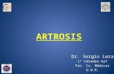 Clase artrosis