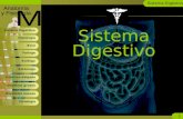 4.1 sistema digestivo yo