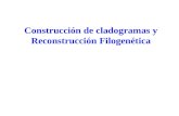 Construcción de cladogramas y Reconstrucción Filogenética