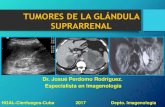 Tumores de la glandula suprarrenal diagnóstico imagenológico.